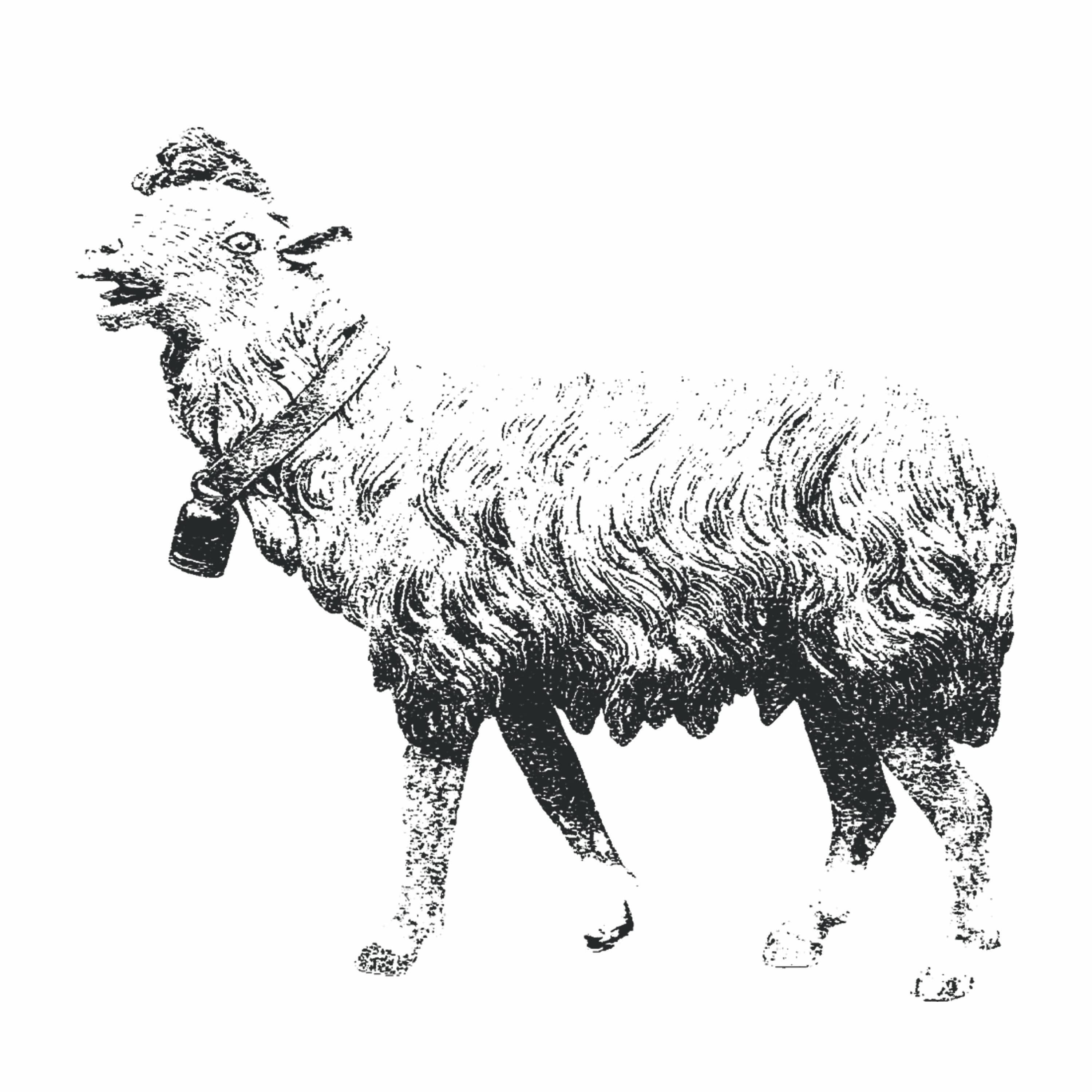 Writer submitting work to Hark